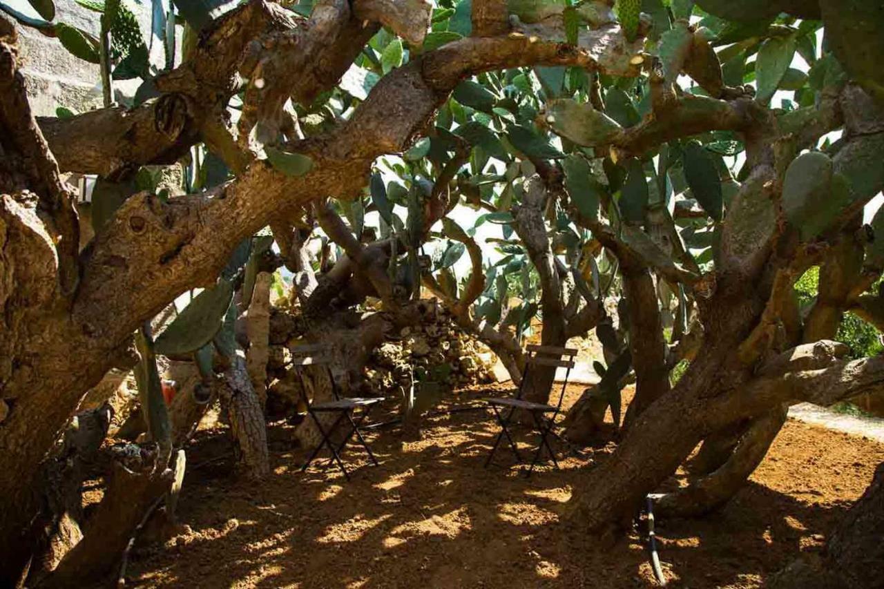 Masseria Celano Grottaglie Kültér fotó